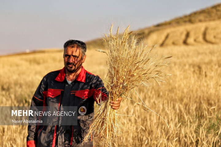 اخبار واردات خودرو و آخرین قوانین خودروهای وارداتی | ایرسا خودرو